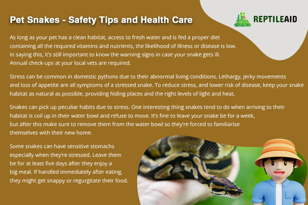 Pet Snakes - Safety Tips and Health Care
