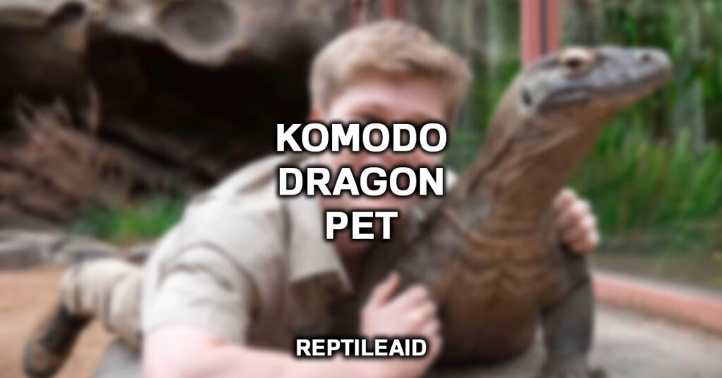 komodo dragon pet